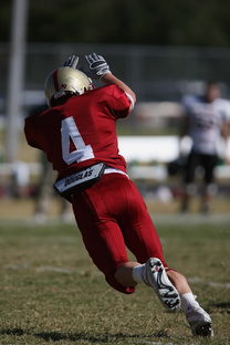 华体会手机网站-全国青少年跳水锦标赛在青岛盛大举行，全国青少年跳水锦标赛在青岛盛大举行吗